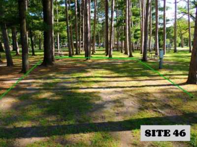 Site 46