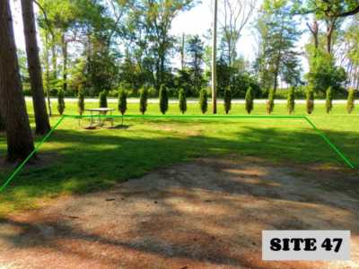Site 47