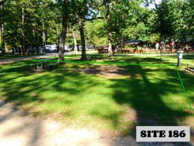 Site 186