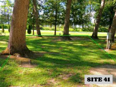Site 41